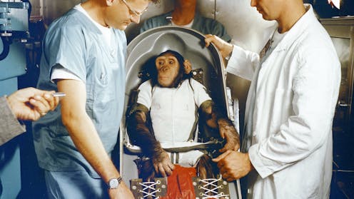 We’ve been sending animals into space for 7 decades – yet there are still no rules to protect them from harm