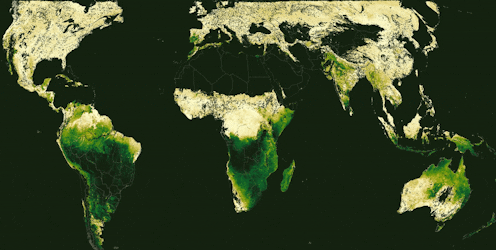 See Earth’s seasons in all their complexity in a new animated map