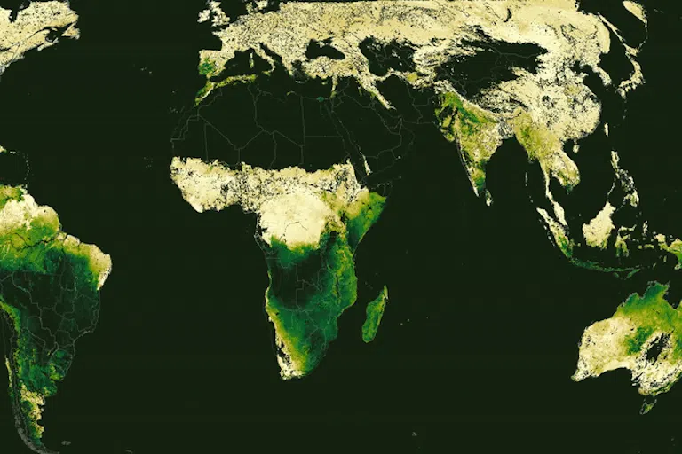 Animated map of the globe showing complex waves of green sweeping north and south across the planet.