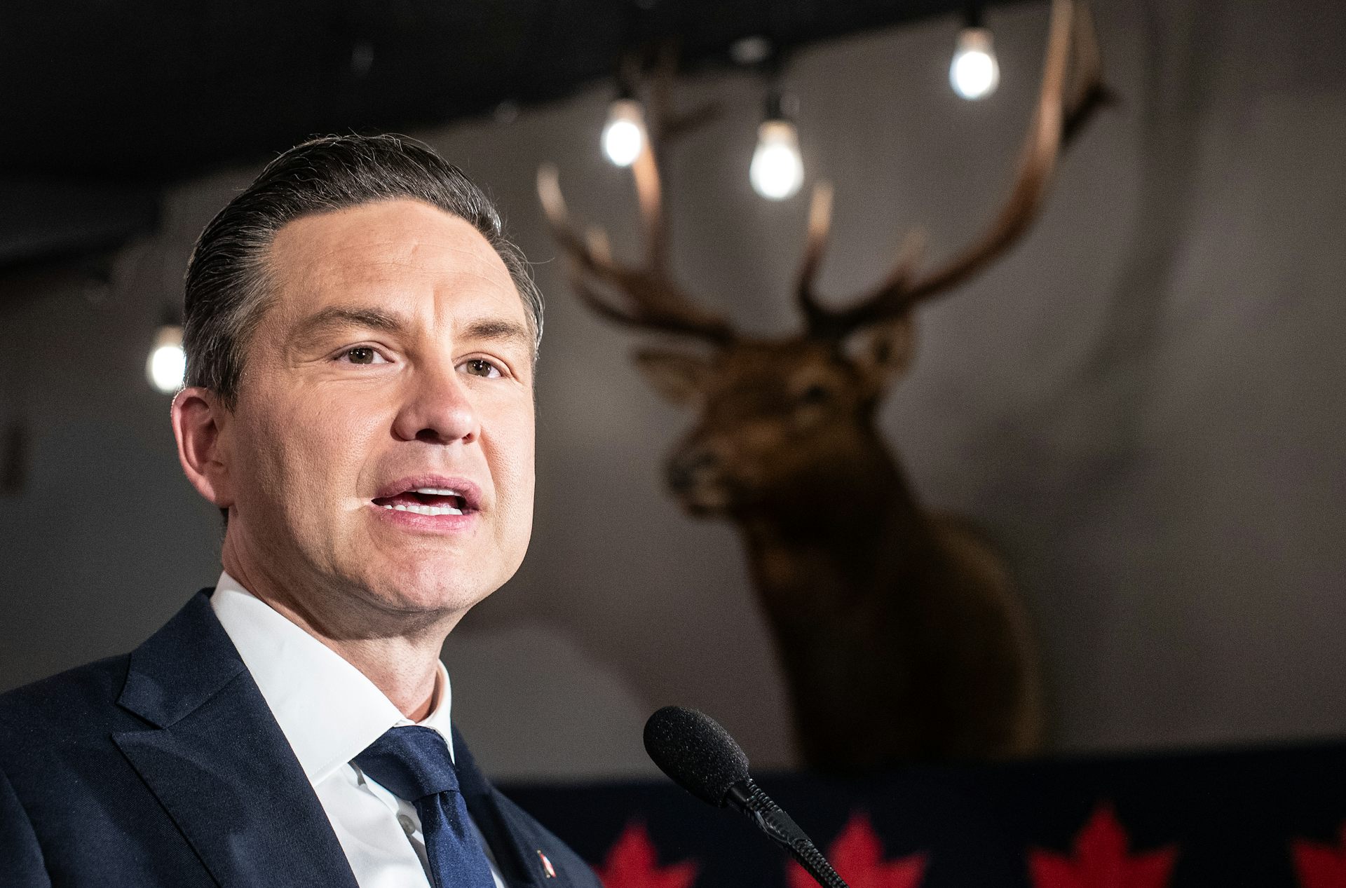Un hombre de cabello oscuro le habla a una cabeza de ciervo disecada en la pared detrás de él.