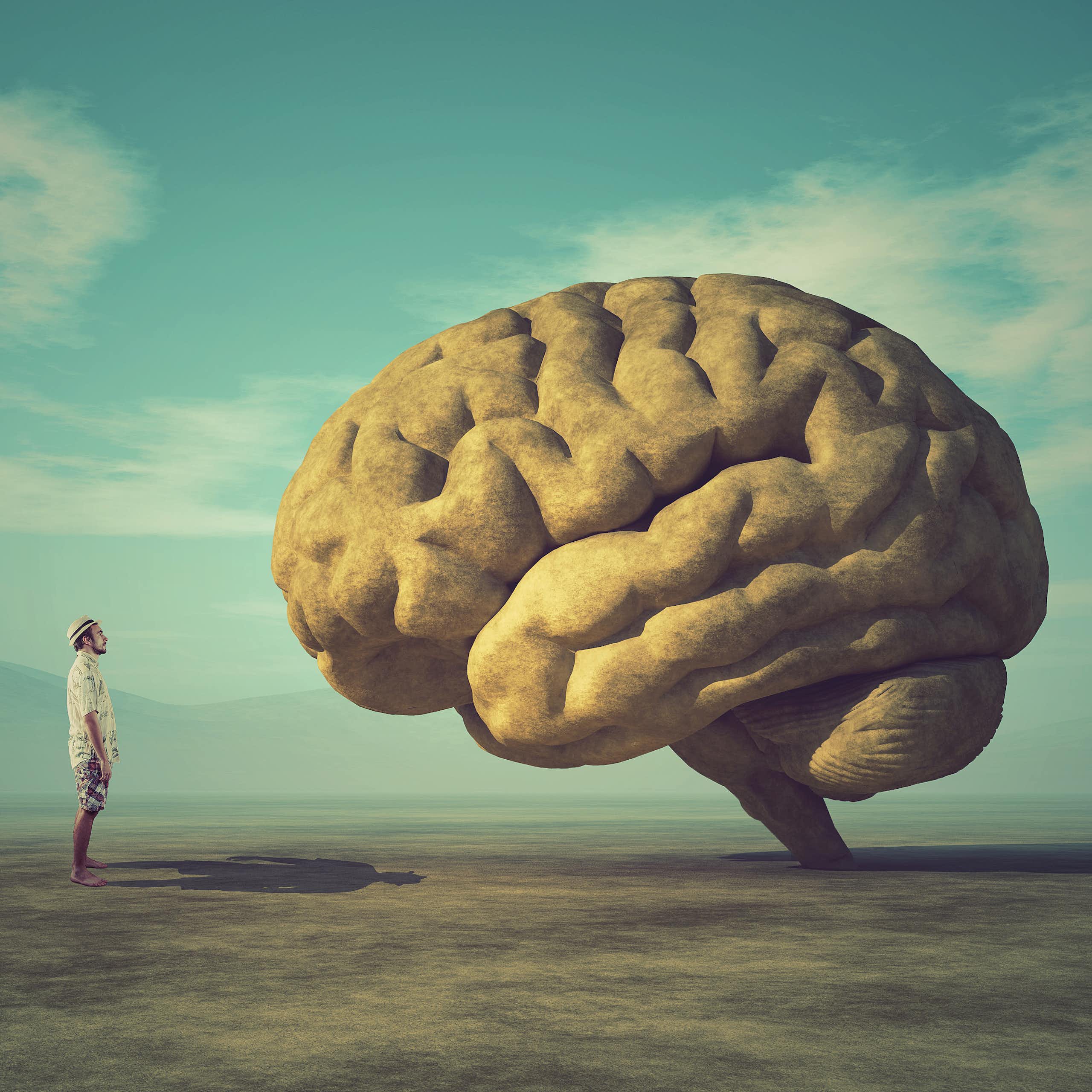 Homme regardant un cerveau géant dans un paysage désertique