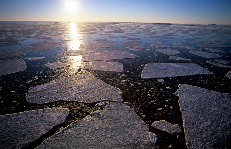 sea ice in antarctica in late summer, large chunks of ice floating on ocean.