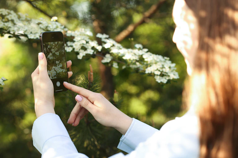 Young woman taking picture of flowers on phone