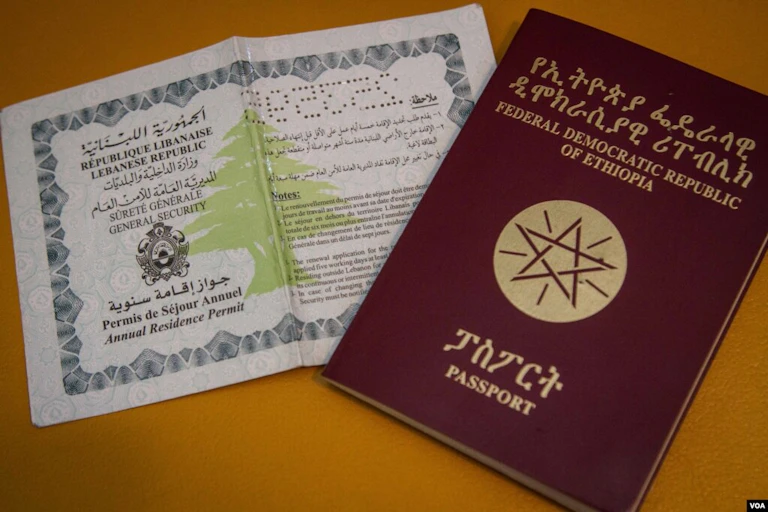A passport with a red cover and another document with an image of a tree