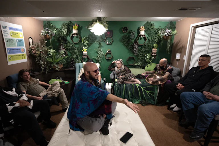 People reclining on couches in a room with one wall painted green and decorated with several plants.