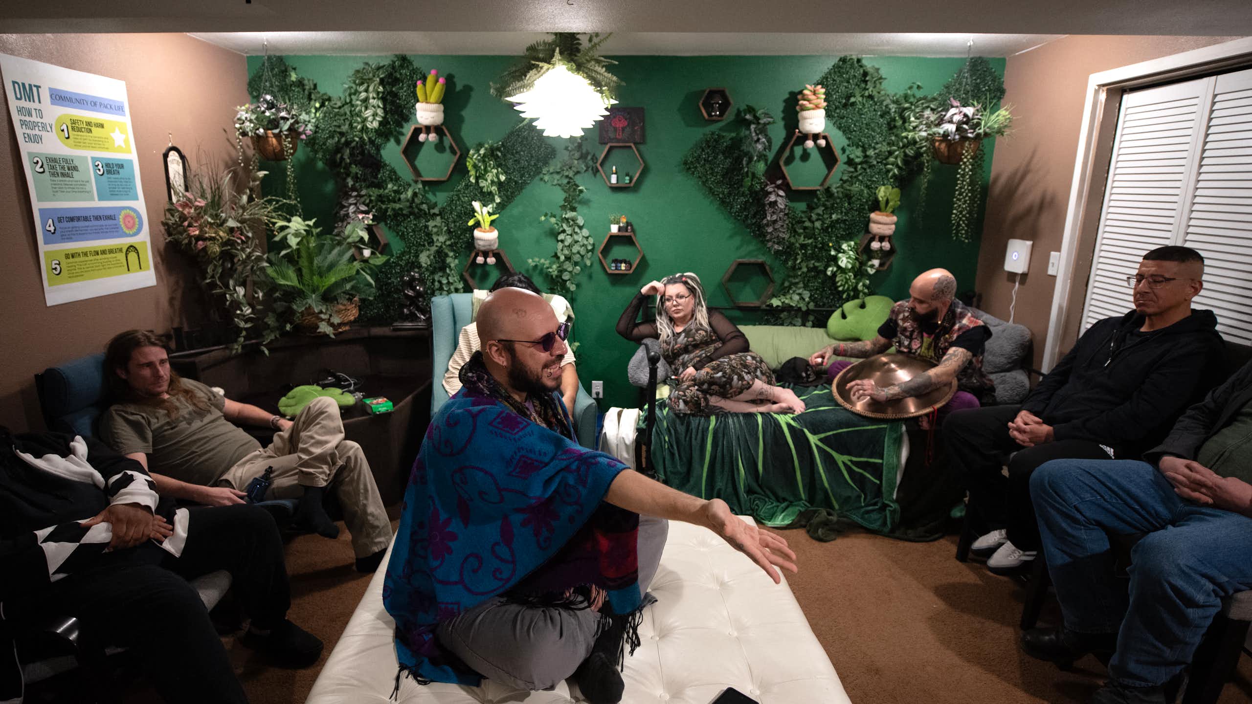 People reclining on couches in a room with one wall painted green and decorated with several plants.