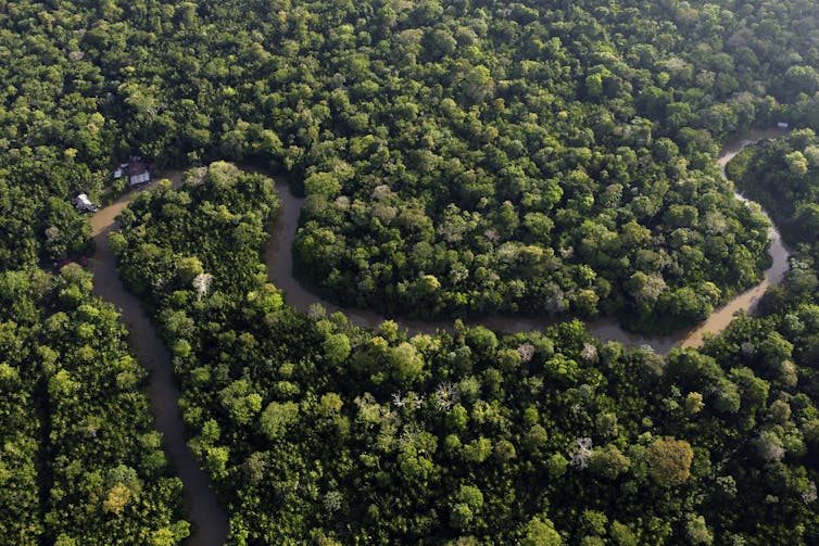 Una fotografía de aire de río estrecho, que se maneja a través de la espesa selva verde