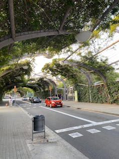 Foto mostra uma rua. Sobre ela, uma estrutura de metal serve de base para a vegetação, que fornece sombra ao espaço