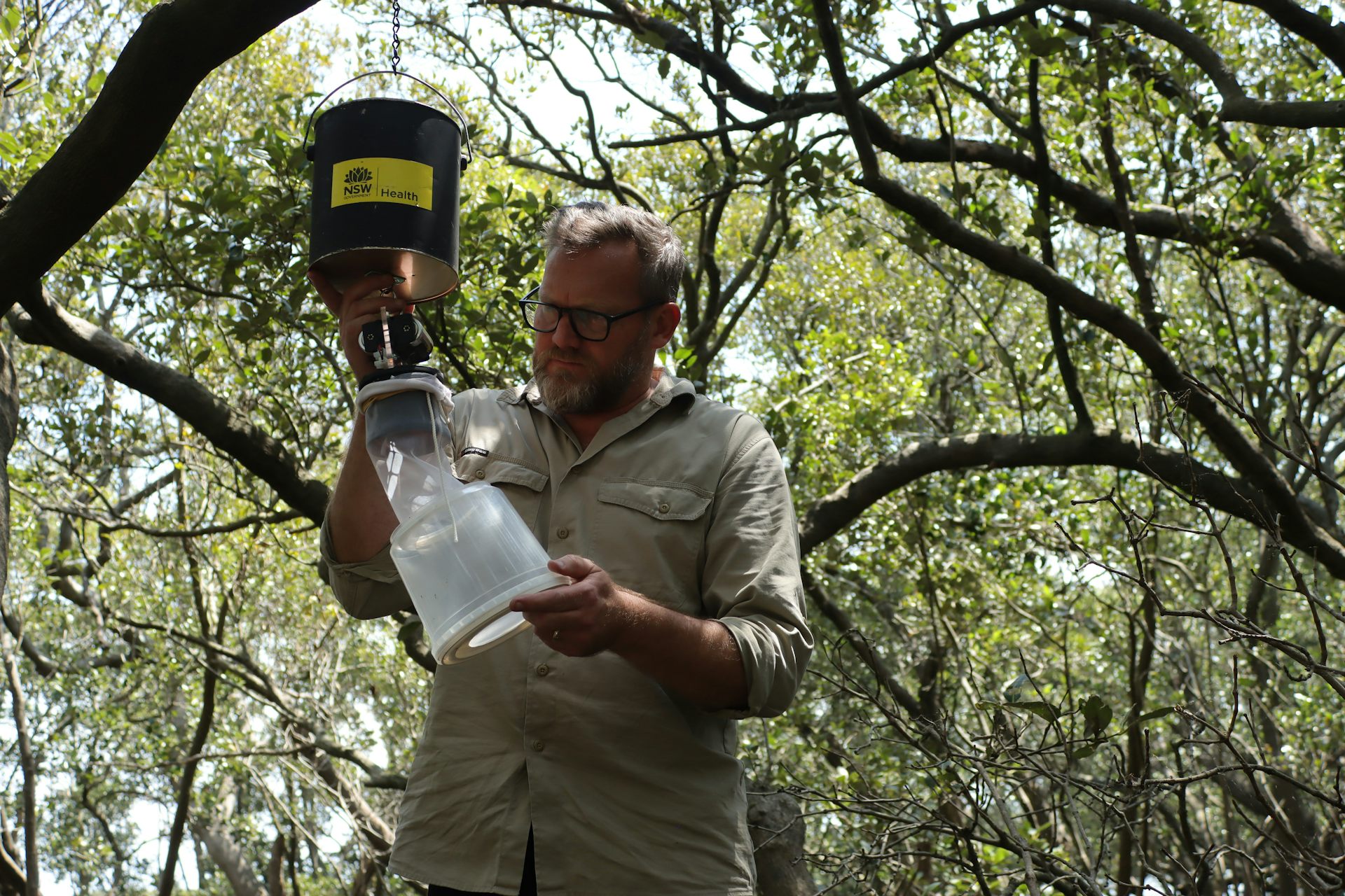 Scientist holding a mosquito trap