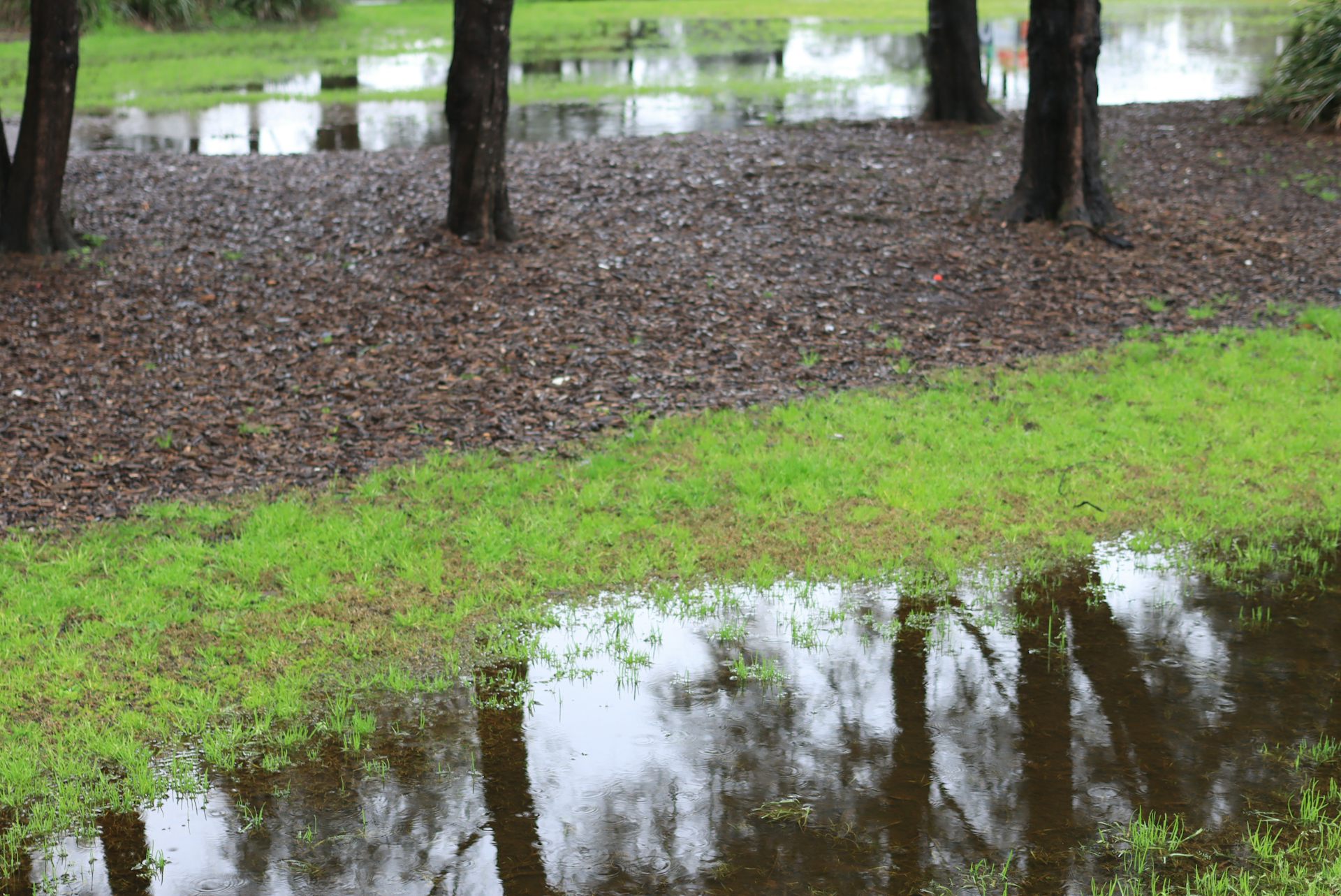 Puddles of water on parkland