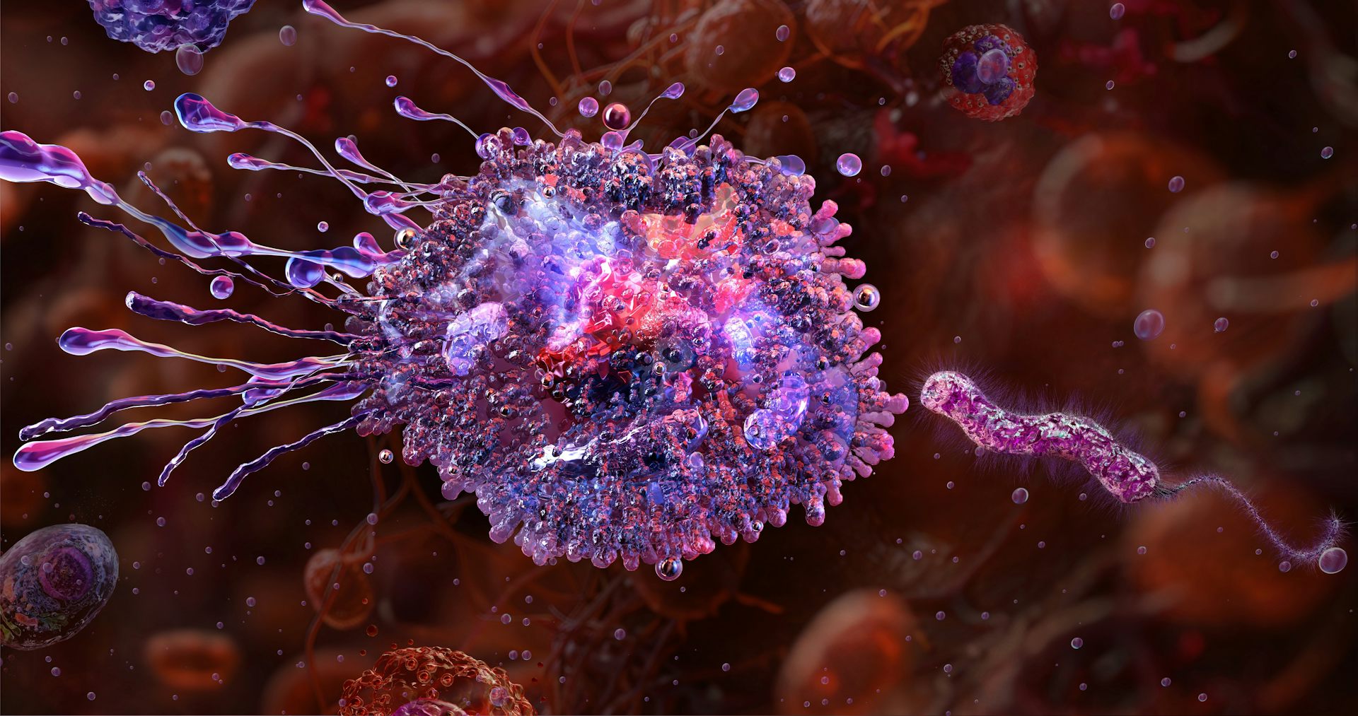 Macrófagos: el decisivo papel de las ‘células tragonas’ del sistema inmunitario en nuestra salud