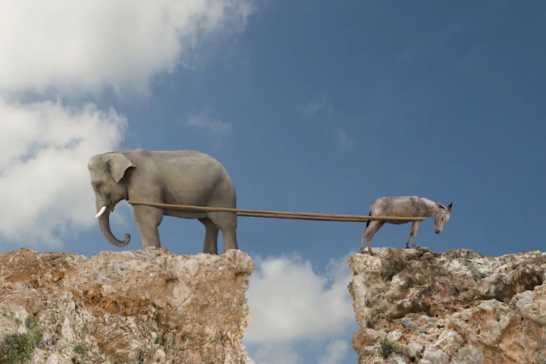 An elephant on the left at the edge of a cliff is attached by rope across a divide to a donkey on the right. They are in the midst of tug-of-war.