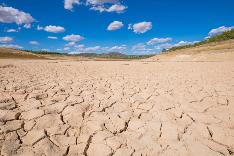 Terreno agrietado por la sequía