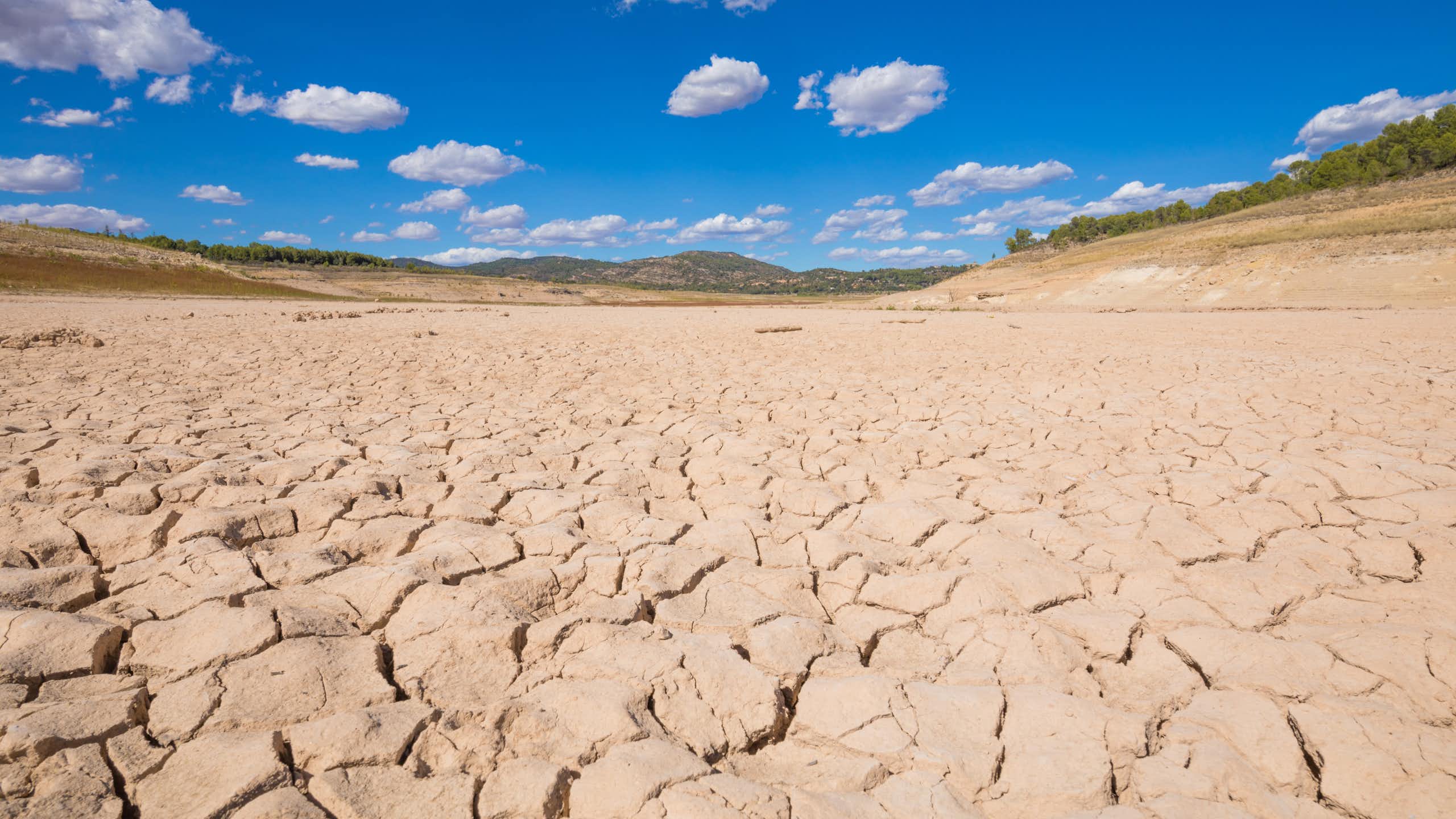 Terreno agrietado por la sequía