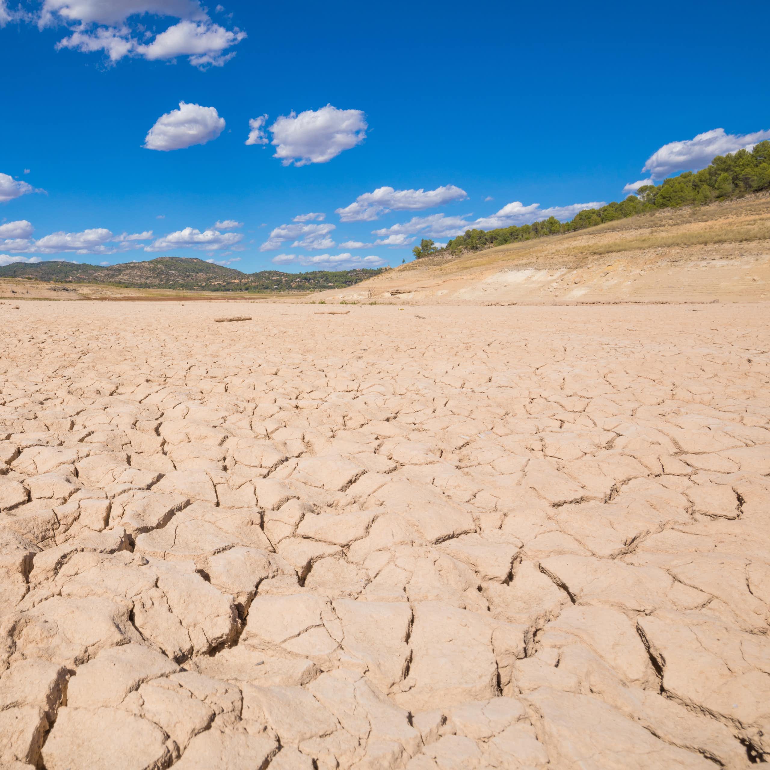Terreno agrietado por la sequía