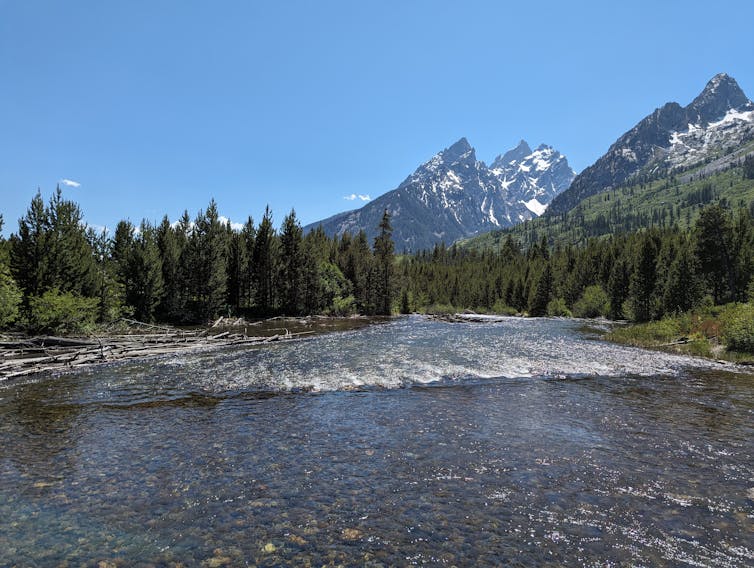 A wide, peaceful river flows into a thick forest. Imposing jagged peaks pierce the sky. Snow is visible within the mountain's crevices.