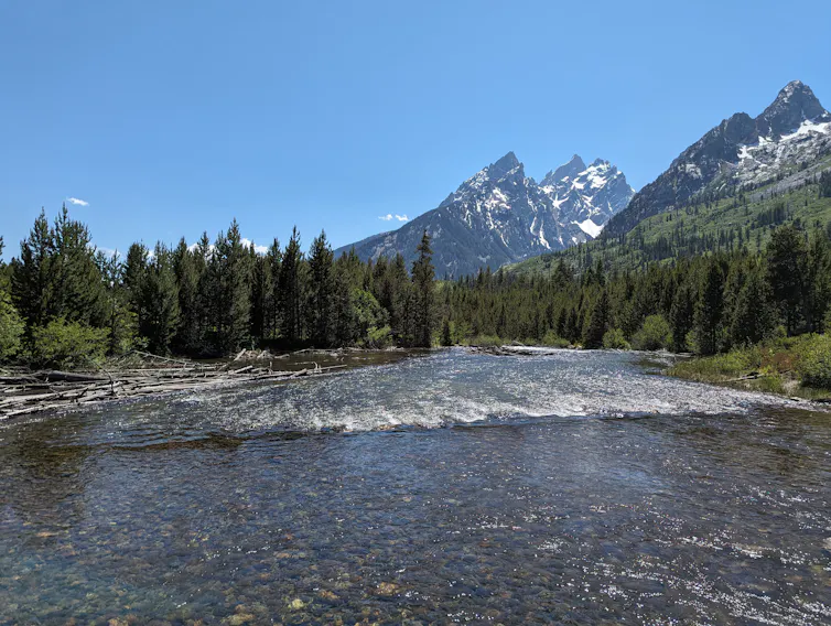 A wide, peaceful river flows into a thick forest. Imposing jagged peaks pierce the sky. Snow is visible within the mountain's crevices.