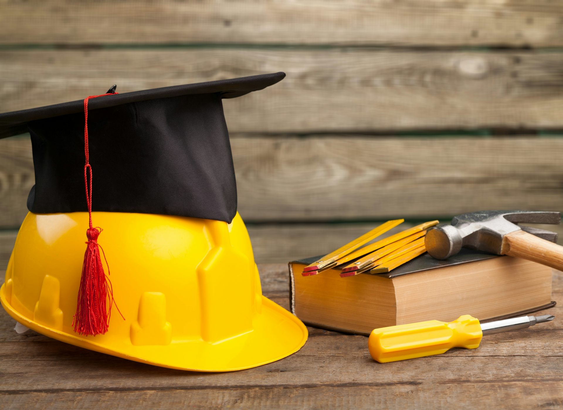 how will schools decide who takes an academic or vocational path?