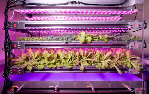 Why grow plants in space? They can improve how we produce food and medicine on Earth