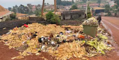 Une grande poubelle en plastique entourée de déchets organiques empilés sur le bord de la route
