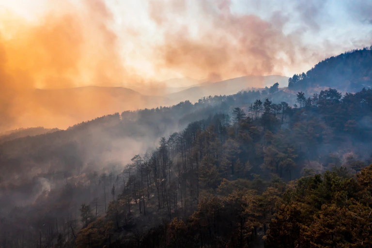 Humo generado por un incendio forestal