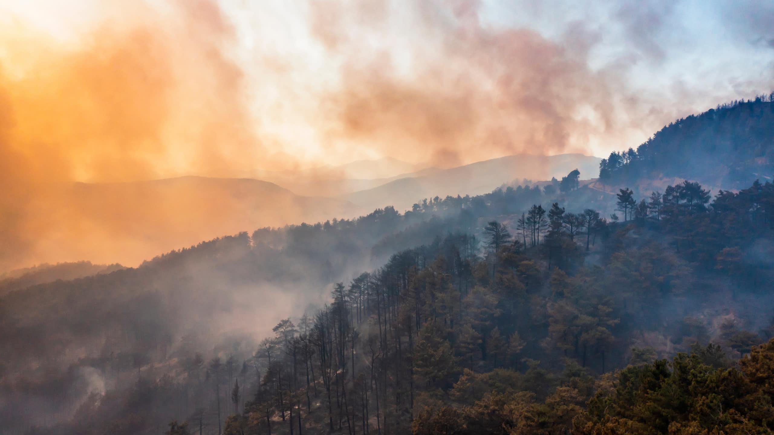 Humo generado por un incendio forestal