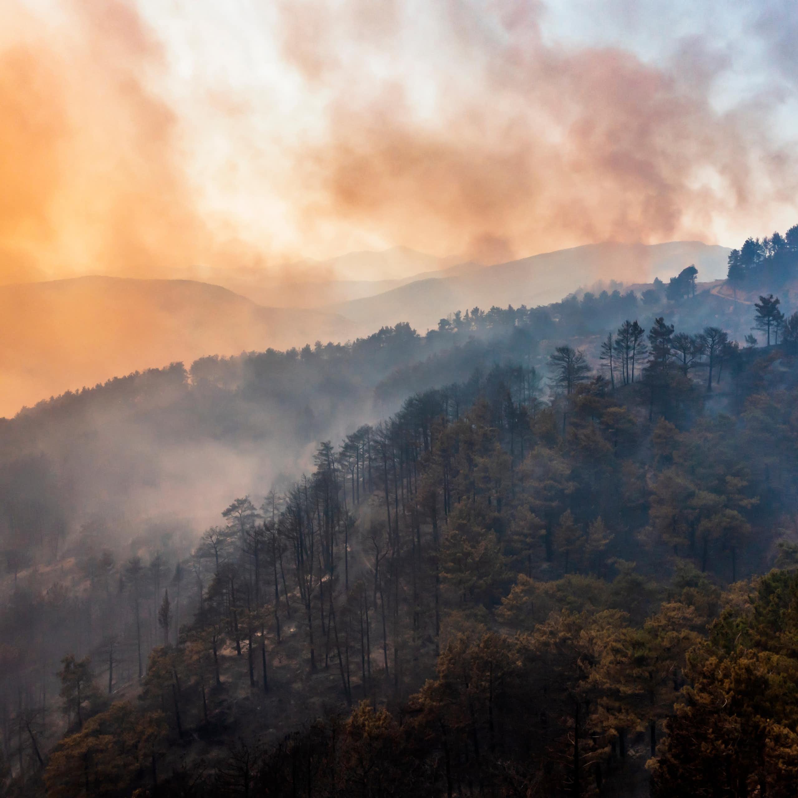 Humo generado por un incendio forestal
