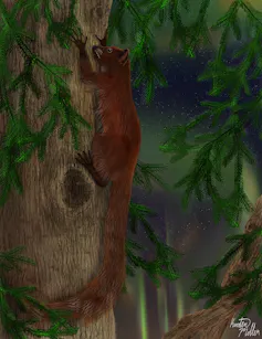 primate on a tree