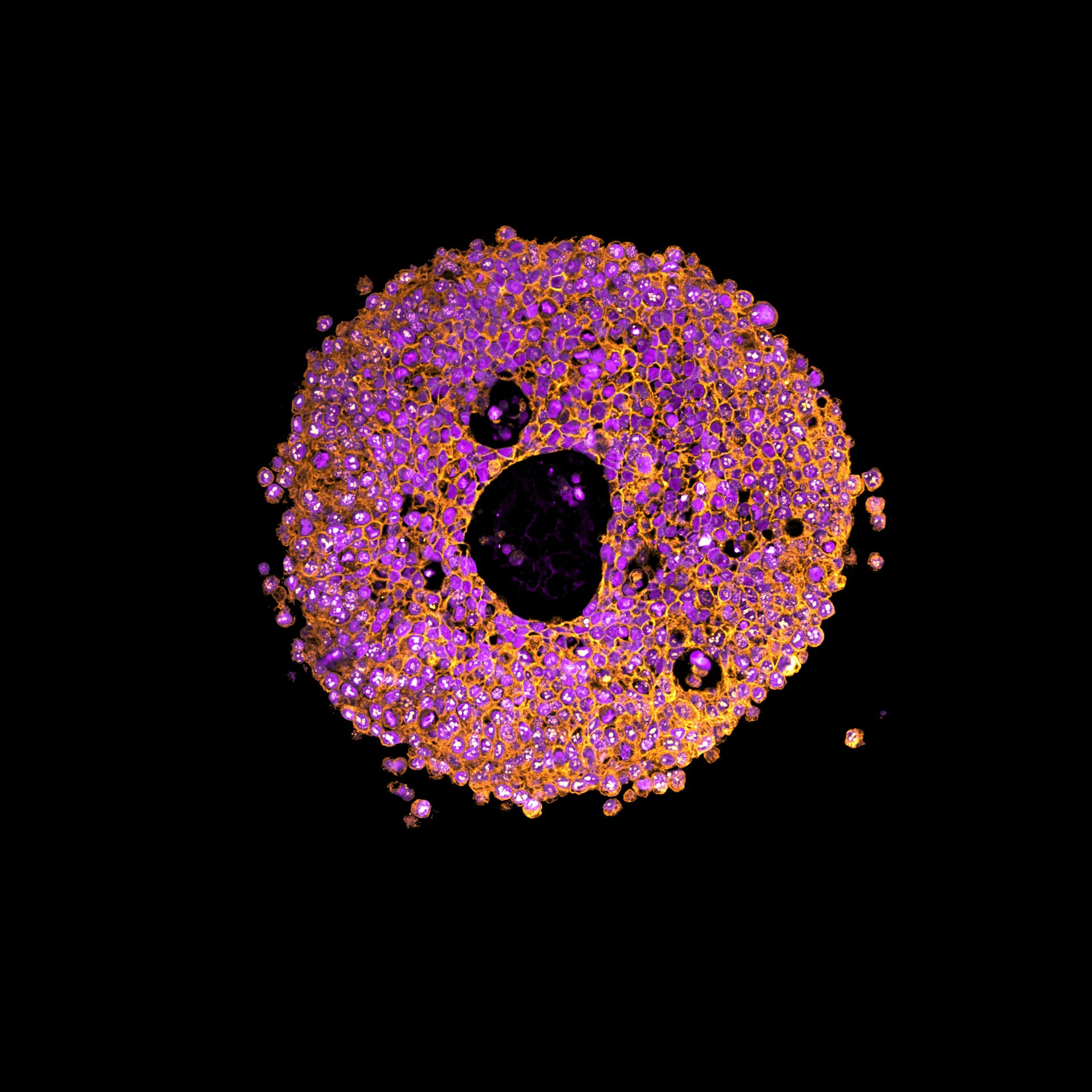 file-20250827-64-2g0i2p.jpg?