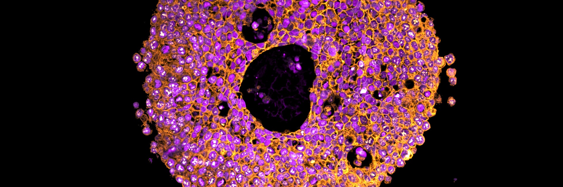 Kredit: Caire Richards.