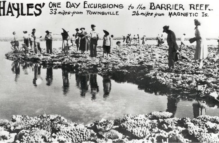 historic coral walking tour on Great Barrier Reef
