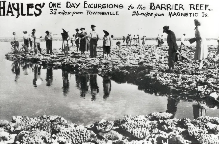 historic coral walking tour on Great Barrier Reef