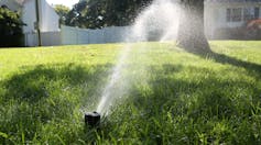 A small black spigot spews a stream of water over a green grass lawn.