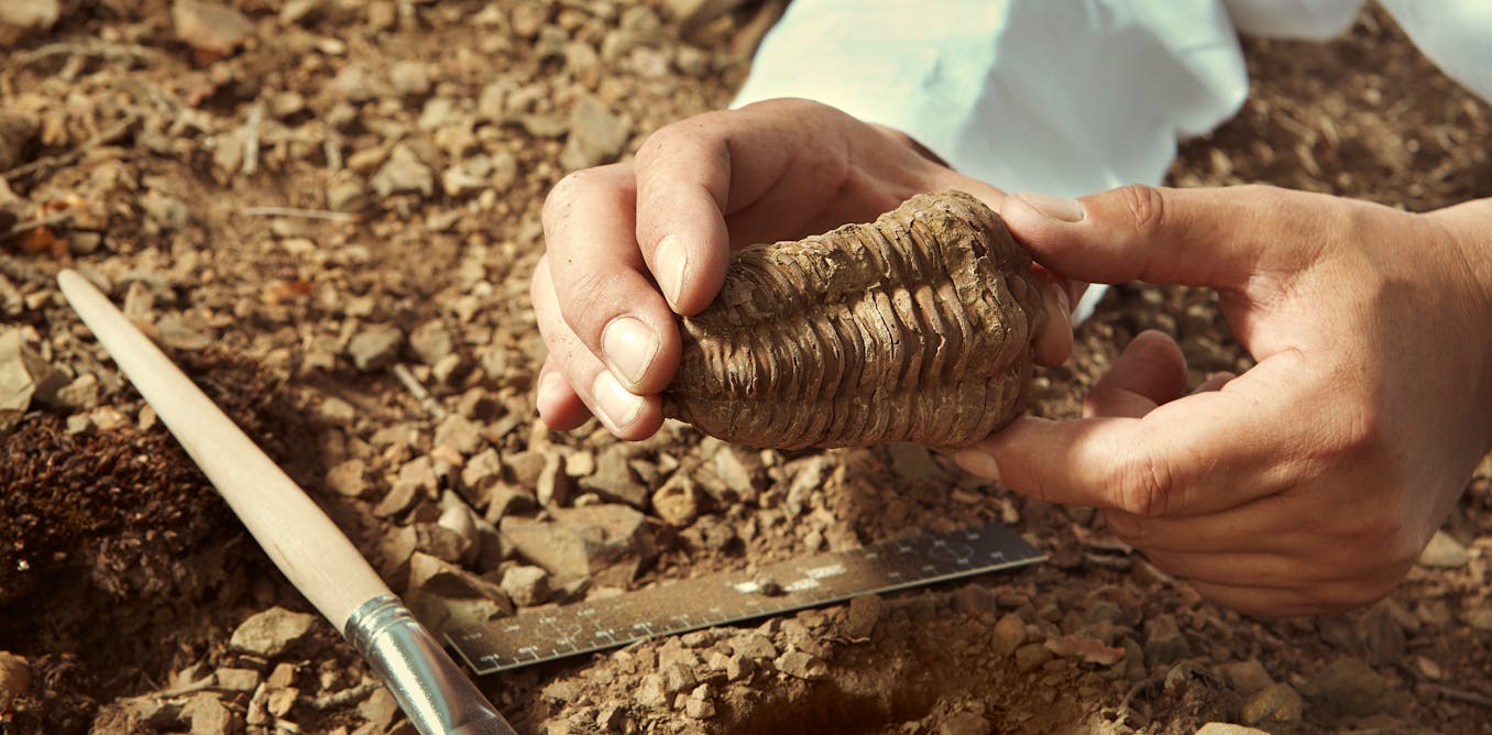 A speeding clock could solve Darwin’s mystery of gaps in animal fossil records A speeding clock could solve Darwin’s mystery of gaps in animal fossil records