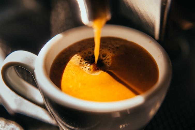 How Europe’s deforestation law could change the global coffee trade – Environmental News Bits A cup of coffee