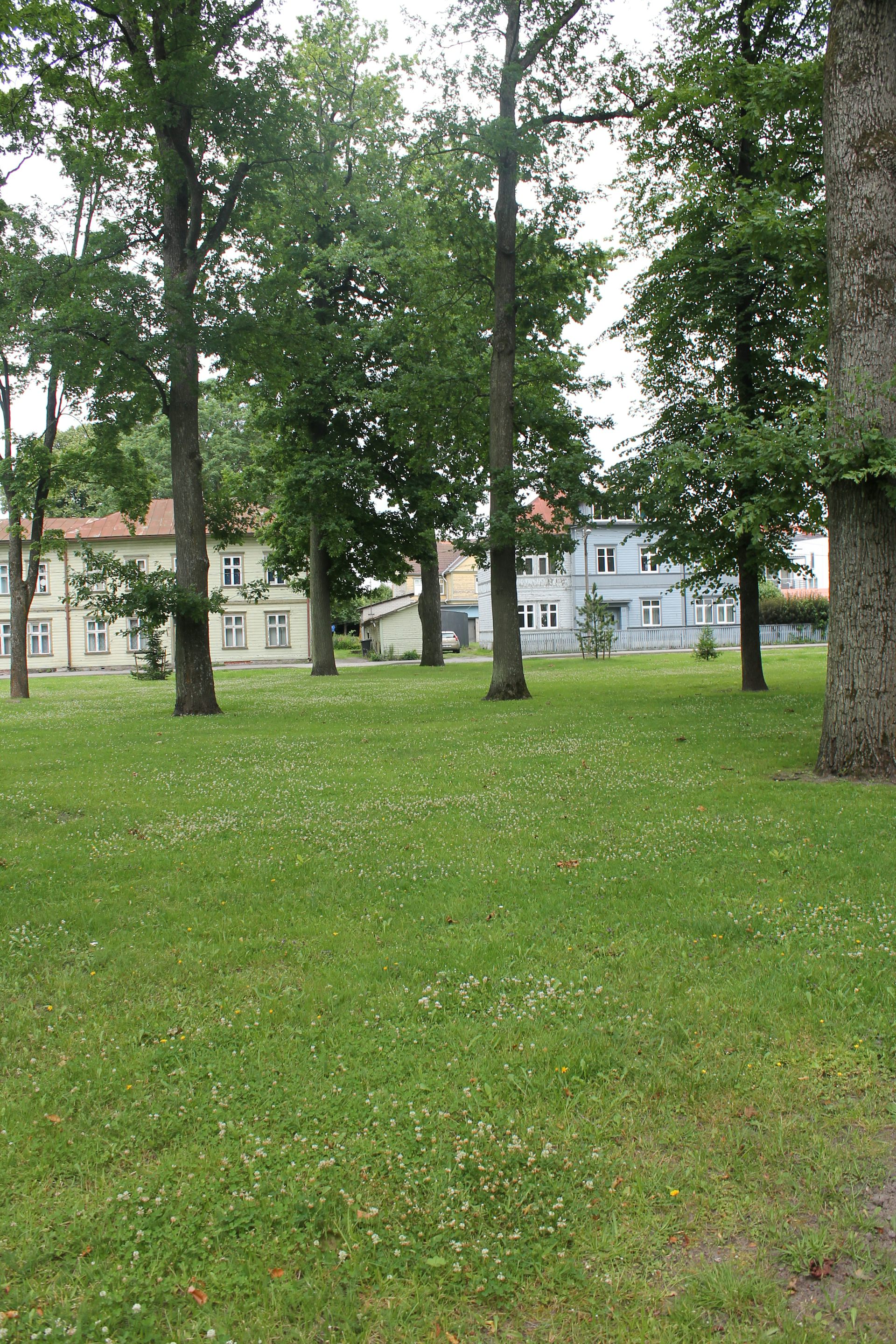 An empty site in an urban forest where a Soviet memorial once stood.