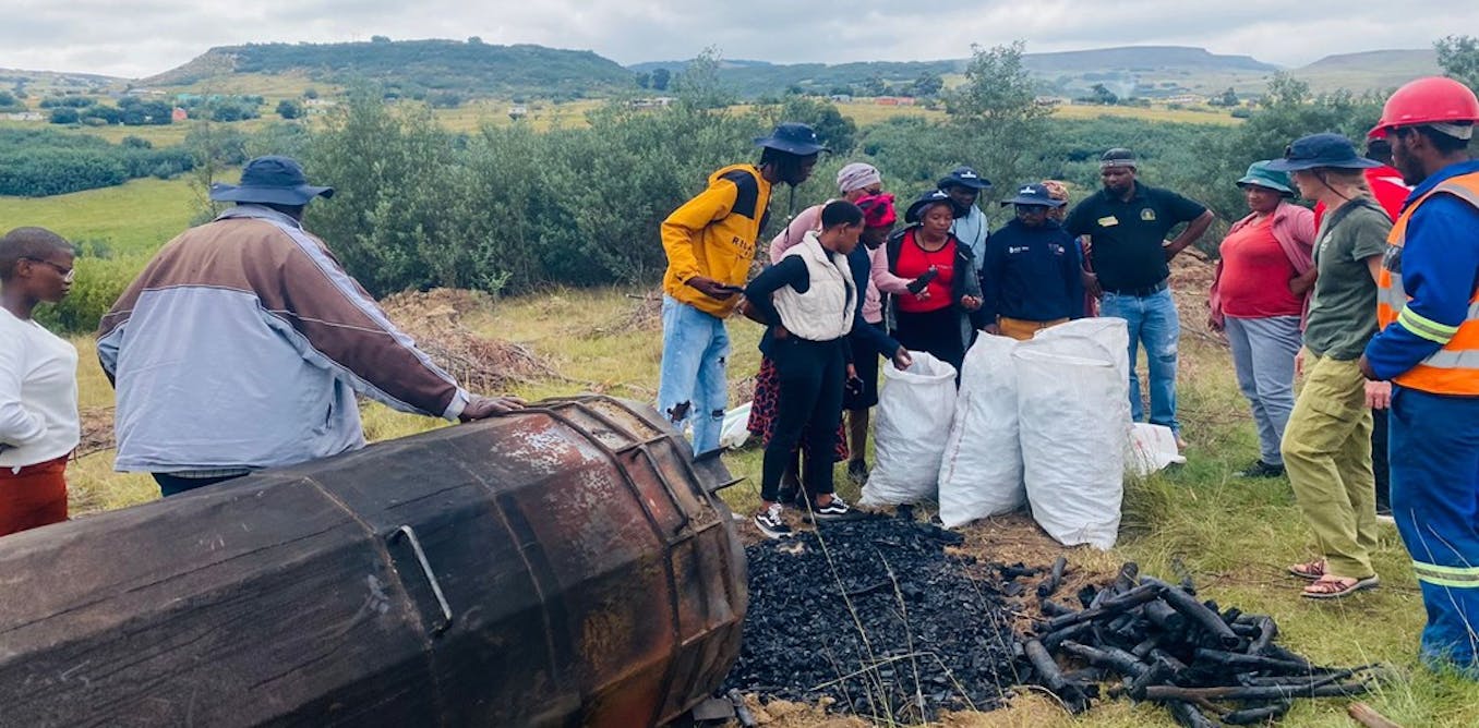 Black wattle as firewood: how South African communities are putting invasive species to work