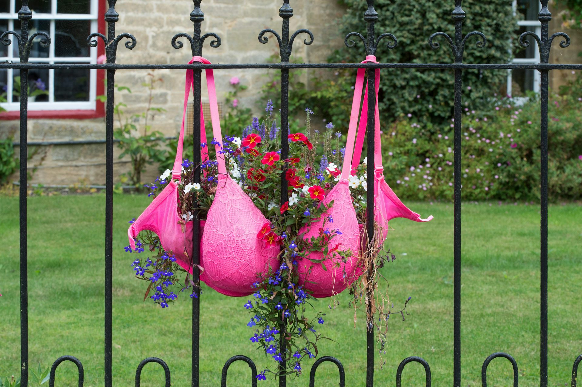Bra flower planters