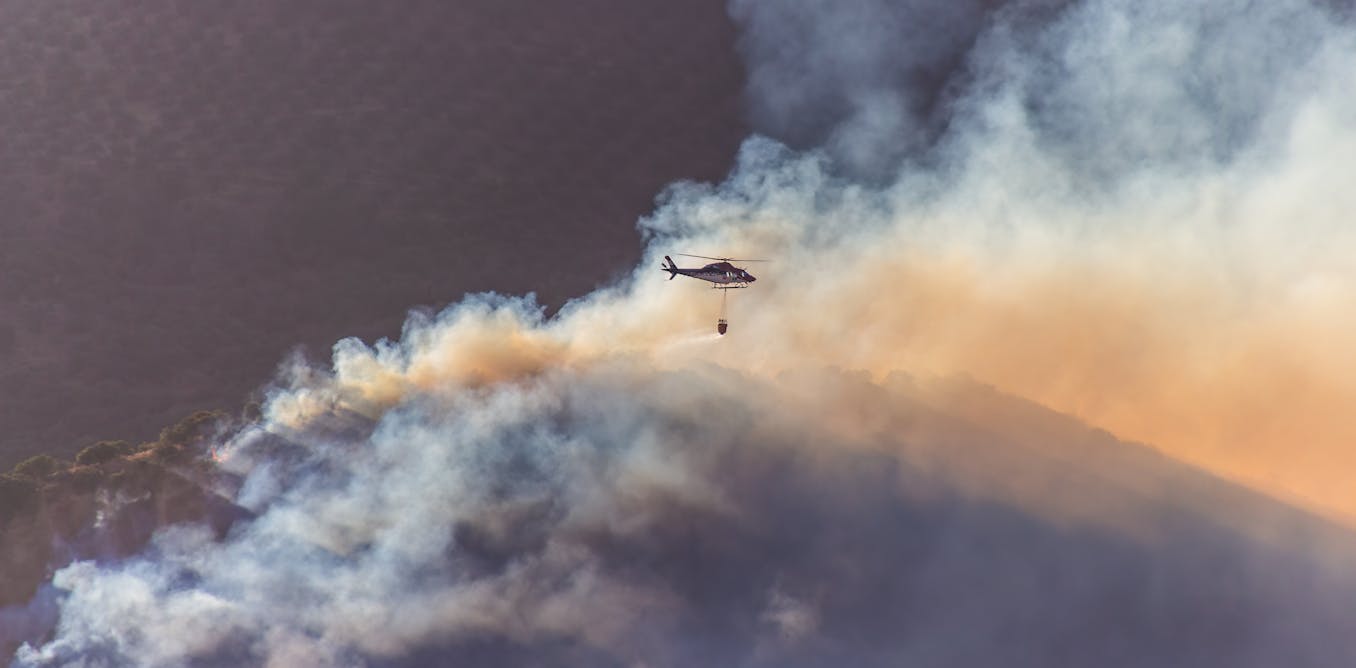 Más allá del fuego: los incendios forestales plantean nuevos desafíos para la salud pública