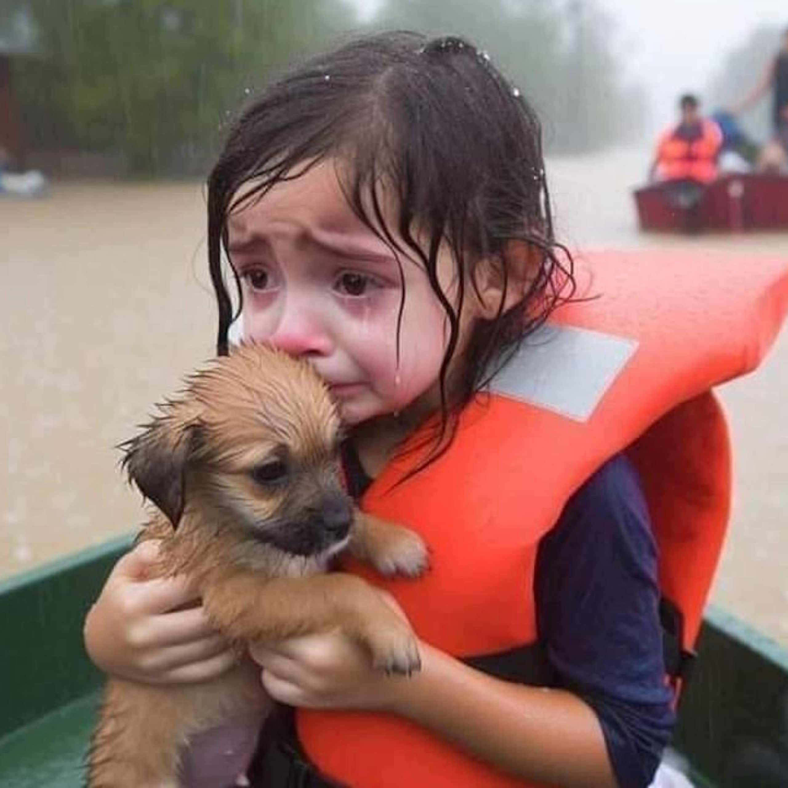 photo-realistic illustration of a small girl in a life vest in a boat clutching a puppy