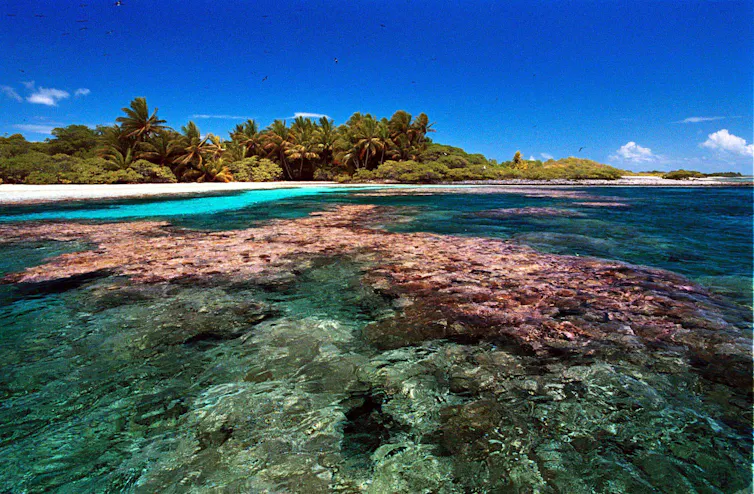 A coral reef near a tropical island