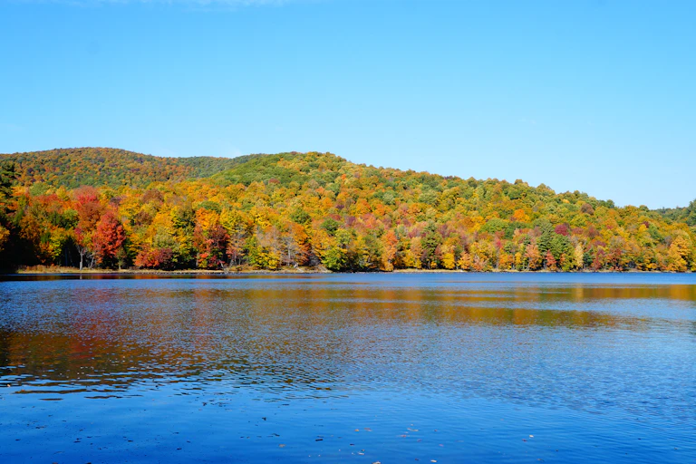 A view of a lake with green, red and yellow trees on the land in the background