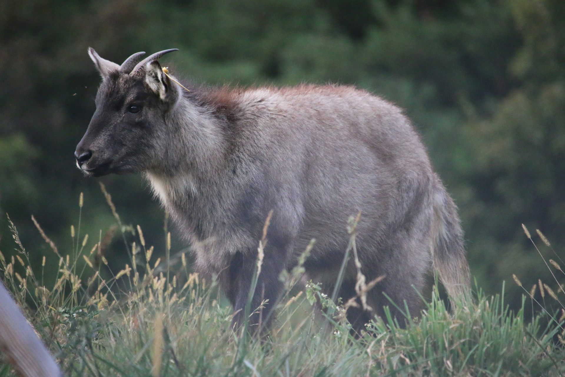 new research reveals state involvement