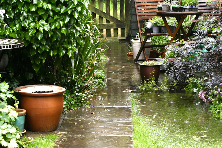 A wet courtyard in spring