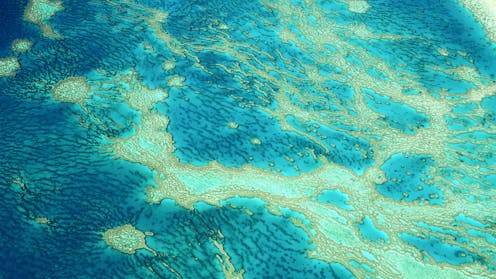 Half a century ago, the Great Barrier Reef was to be drilled for oil. It was saved – for a time