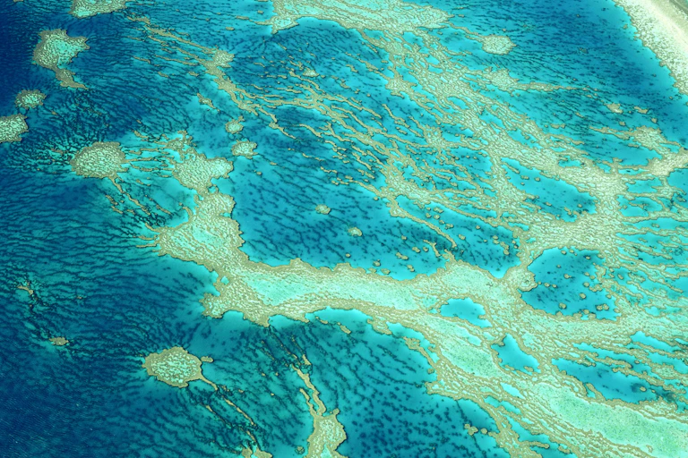 barrier reef from the air, pattern of coral reefs.