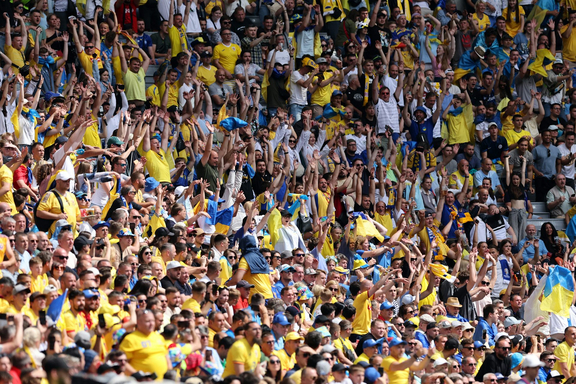 Des lucioles aux stades de football : comment se propage l’information sociale dans les groupes