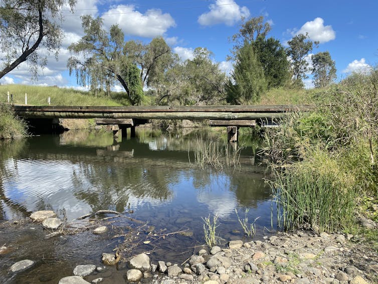 A shallow creek pool with still water reflecting the sky and surrounding trees, bordered by reeds and rocks, with a low wooden bridge crossing overhead.