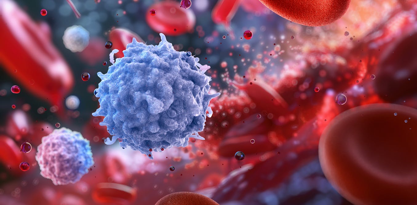 Al sistema inmune también le salen ‘arrugas’: ¿qué ocurre cuando nuestras defensas envejecen?