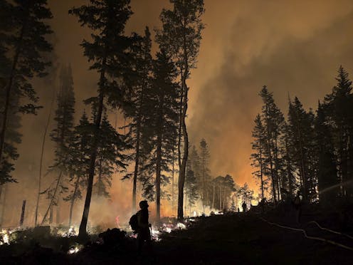 Boosting timber harvesting in national forests while cutting public oversight won’t solve America’s wildfire problem